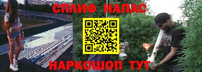 дурь Славгород