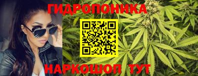 ГАЛЛЮЦИНОГЕННЫЕ ГРИБЫ Сланцы