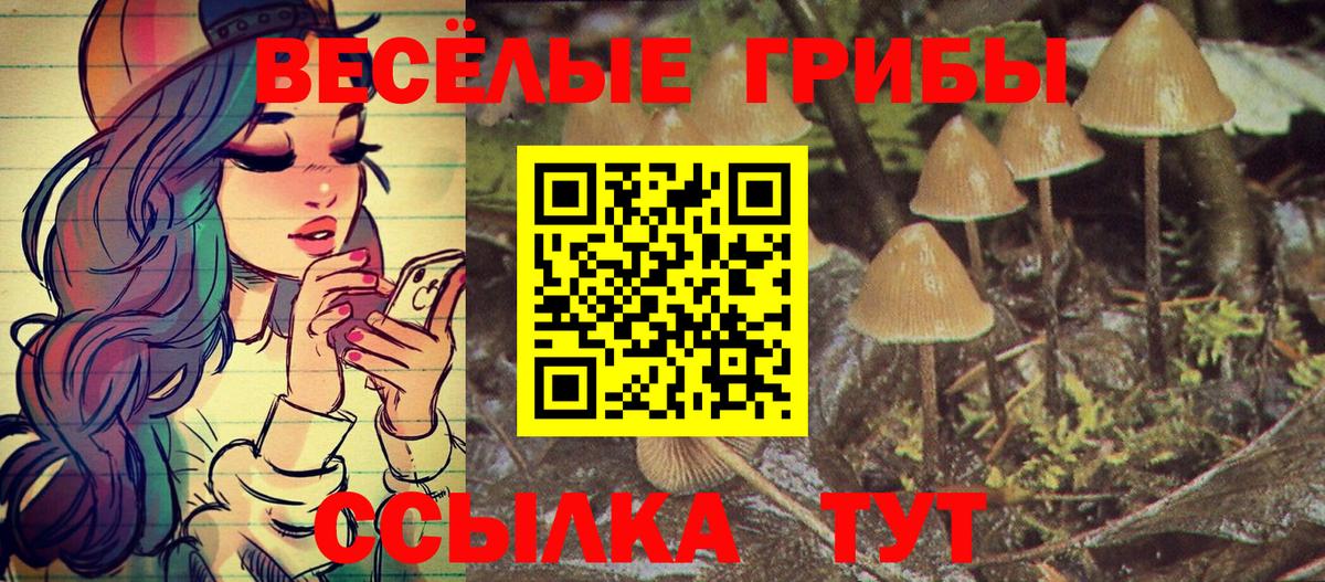 Галлюциногенные грибы Magic Shrooms  Псилоцибиновые грибы MAGIC MUSHROOMS  купить   Вход с VPN  Сертолово 