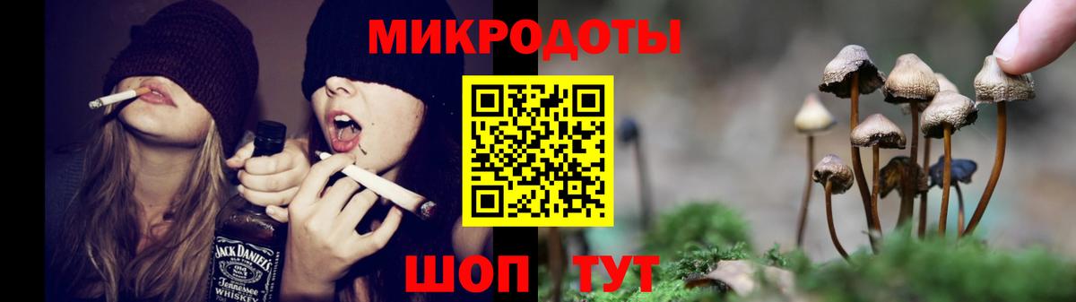 Галлюциногенные грибы Psilocybe Сертолово